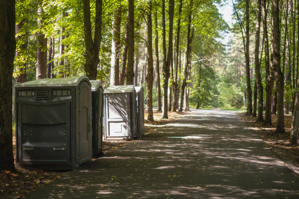 Best Construction Site Portable Toilets  in Edneyville, NC