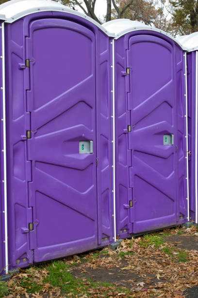 Types of Portable Toilets We Offer in Edneyville, NC